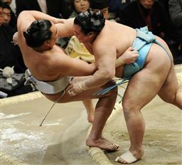 Sumo03.jpg